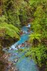 Small stream or creek-Costa Rica Art Print